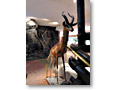 2009-02-09_16-45-45