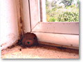 2009-02-10_07-57-49