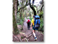 2009-02-10_14-55-05y