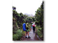 2009-02-10_16-09-08y