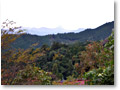 2008-11-08_10-15-48
