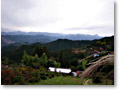 2008-11-08_10-19-04