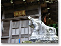 2008-11-08_10-20-02