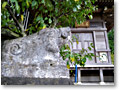 2008-11-08_10-20-10