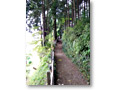 2008-11-08_10-20-54
