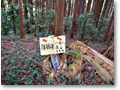 2008-11-08_10-30-34