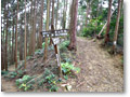 2008-11-08_10-35-56