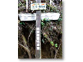 2008-11-08_10-37-52