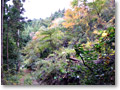 2008-11-08_10-38-04