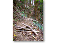2008-11-08_11-21-44