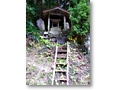 2008-11-08_15-17-30