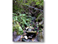 2008-11-08_09-51-00