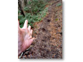 2009-03-21_10-34-44