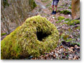2009-03-21_14-10-57