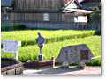 2008-08-24_16-38-50