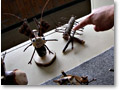 2008-08-25_09-11-46