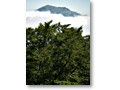 2008-08-25_10-32-58