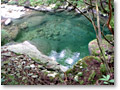 2008-08-25_14-06-20