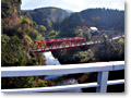 2008-12-21_09-50-02