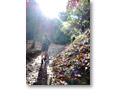 2008-12-21_10-11-50