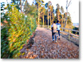 2008-12-20_15-58-32