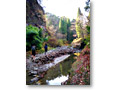 2008-12-21_10-27-36