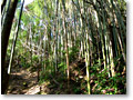 2008-12-21_10-30-48