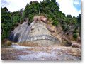 2008-12-21_11-06-36