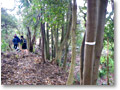 2008-12-21_11-09-26
