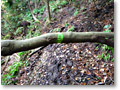 2008-12-21_11-31-00