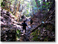 2008-12-21_12-26-46