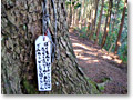 2008-12-21_12-29-34