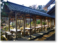 2008-12-21_13-10-56