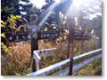2008-12-21_13-18-20