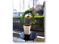 2008-12-21_08-38-28