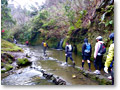 2010-03-07_10-30-50
