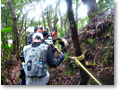 2010-03-07_11-27-05