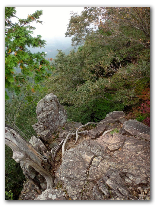 2019-10-31_12-06-00