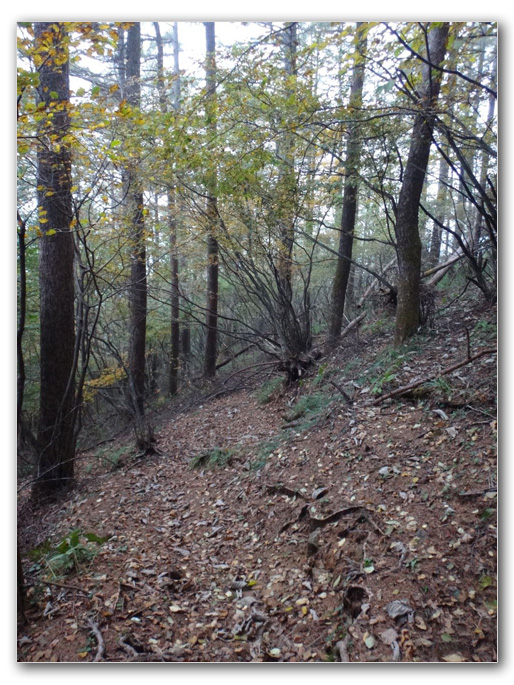 2019-10-31_16-03-05