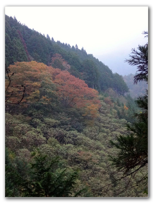 2019-10-31_16-15-38