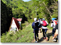 2010-05-16_07-15-01