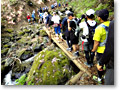 2010-05-16_07-28-37
