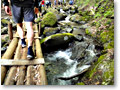 2010-05-16_07-28-49
