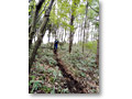2010-05-16_09-30-40