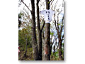 2010-05-16_09-50-10