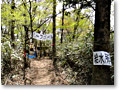 2010-05-16_11-29-38
