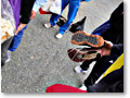 2010-05-15_16-00-23