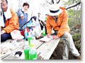 2010-05-16_12-44-00