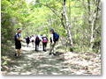2010-05-16_13-03-23