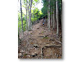 2010-05-16_13-55-05